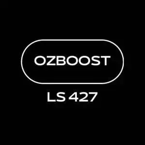 OZBOOST 6/6.2L Forced Induction Stroker 427ci
