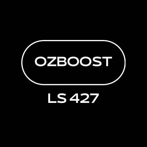 OZBOOST LS427 Engine built by OZTRACK