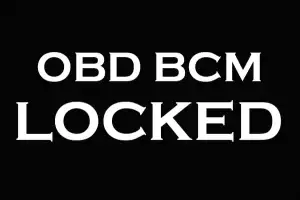 VF OBD Anti-Theft Programmed BCM Lock